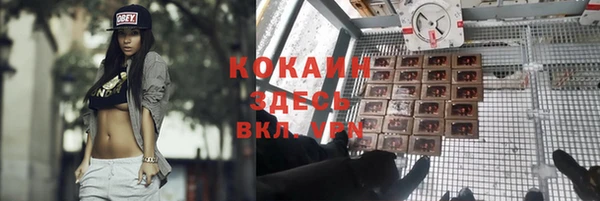 стаф Алексин