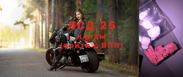 стаф Алексин