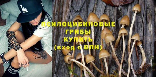 a pvp Алзамай