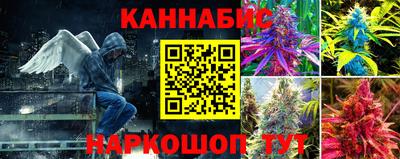 амф Нальчик