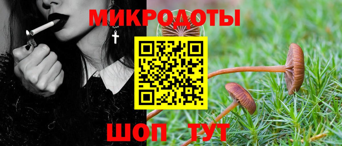 Псилоцибиновые грибы Cubensis Белореченск