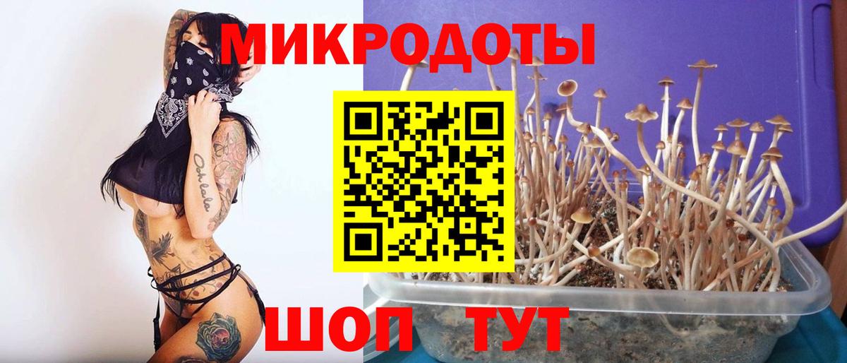 Белореченск  Псилоцибиновые грибы Psilocybe  купить   Вход с VPN 